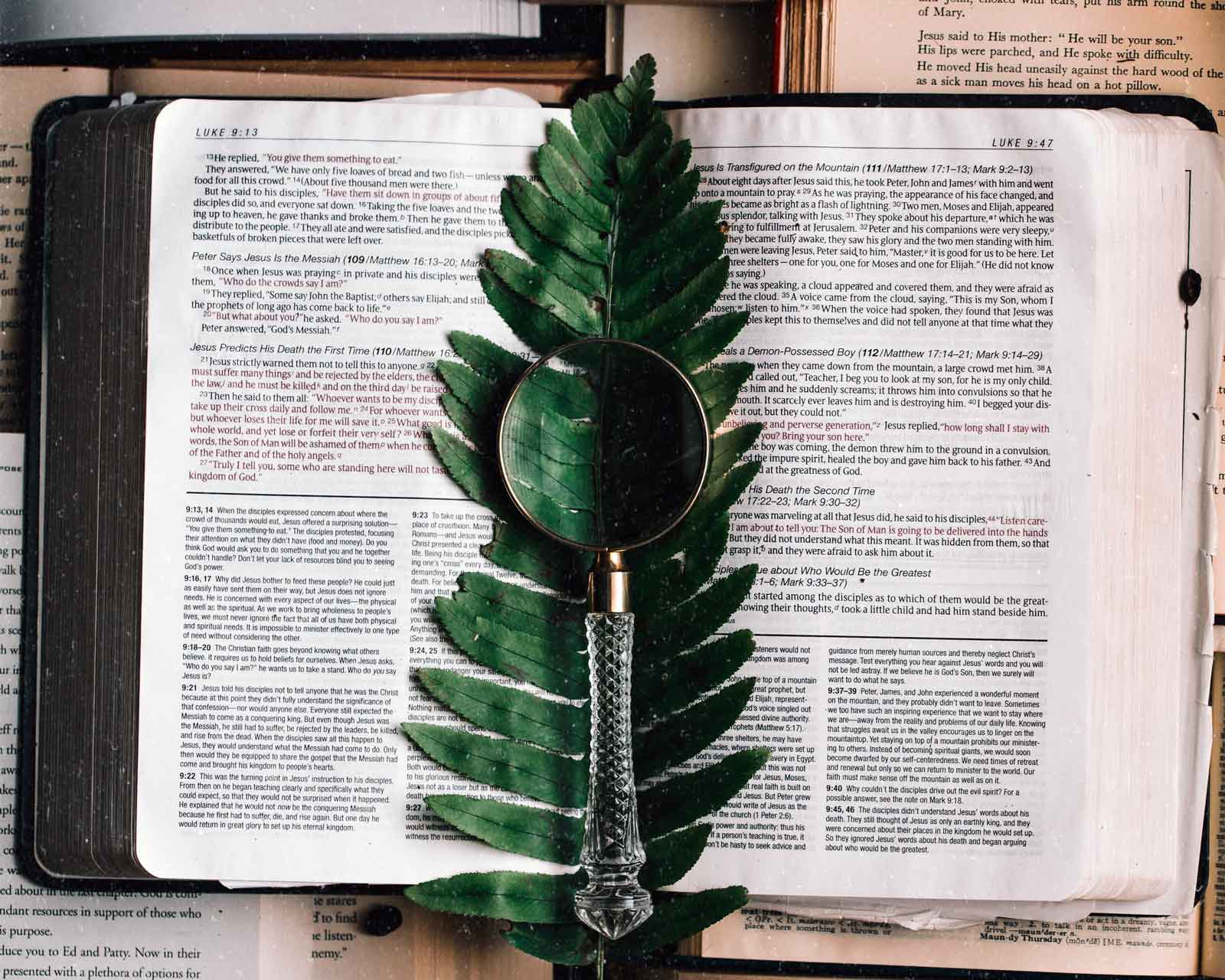 A bible with a leaf over an open page.