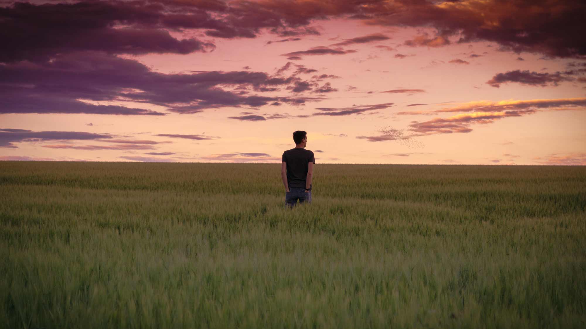 A man stands in a field during sunset.