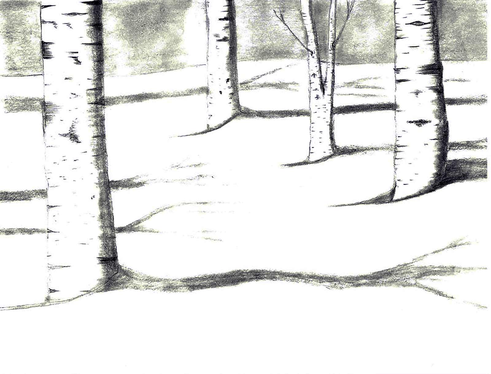 Trees with no leaves